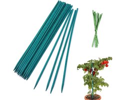 SnelShoppen - TSKDKIT 30 cm Bamboo Garden Poles met 50 Twist Ties - Groene Plant Stakes voor Tuinieren en Ondersteuning van Planten