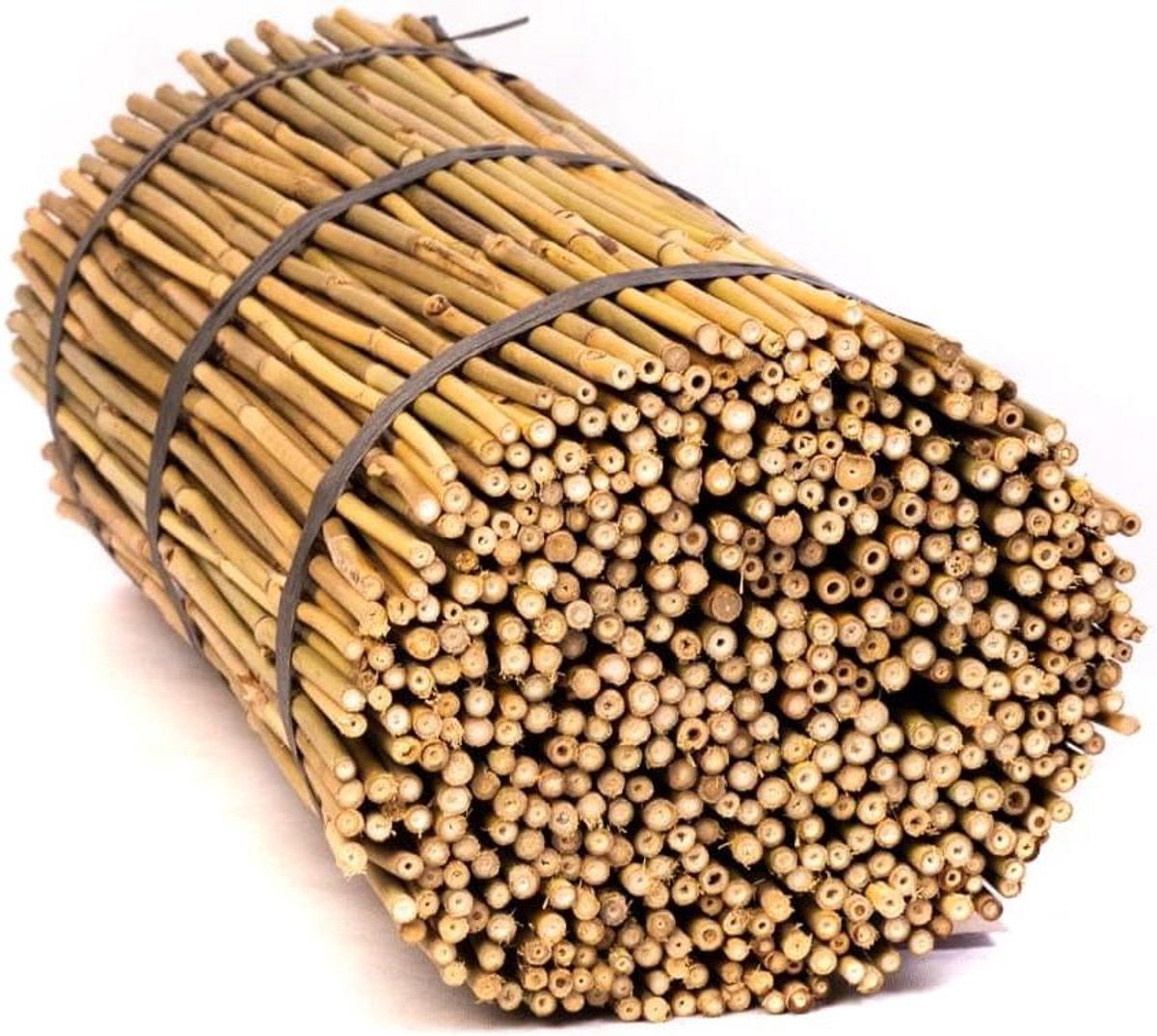 Bamboestokken - Plantensteunen - Planten Ondersteunen - Natuurlijk Materiaal - 60cm 25 Stuks - Natuurlijk