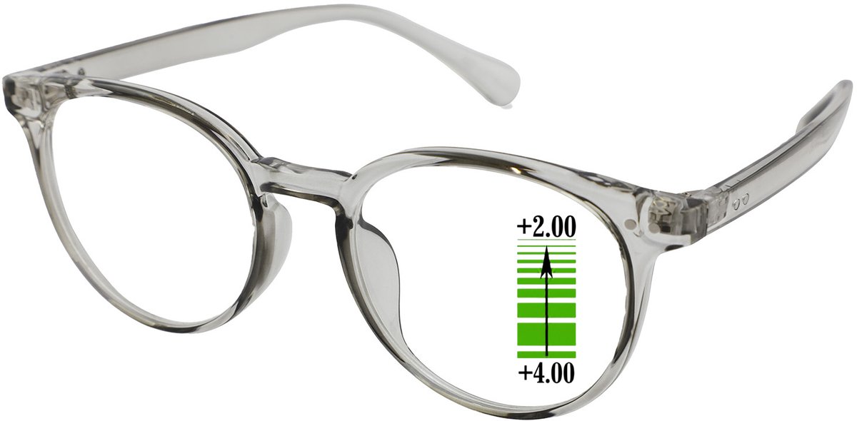 Leesbril Vista Bonita Panto Multifocaal-Kadushi silver-+4.00