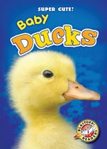 Super Cute! - Baby Ducks