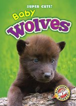 Super Cute! - Baby Wolves
