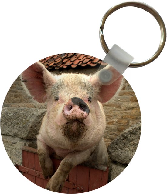 Porte-clés - Cochon - Rose - Animal - Plastique - Rond - Cadeaux à distribuer
