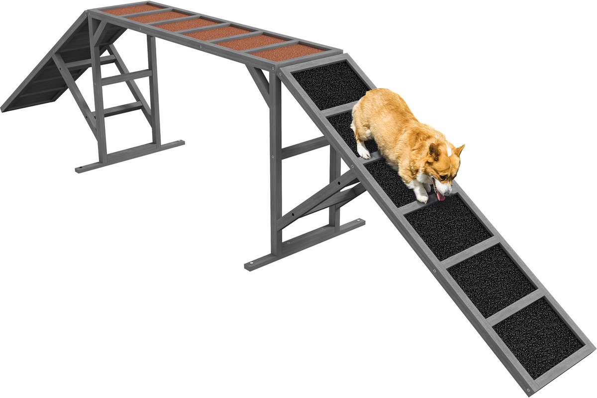 PawHut-Pet Agility Ramp-325x55x69cm-Vurenhout-Grijs