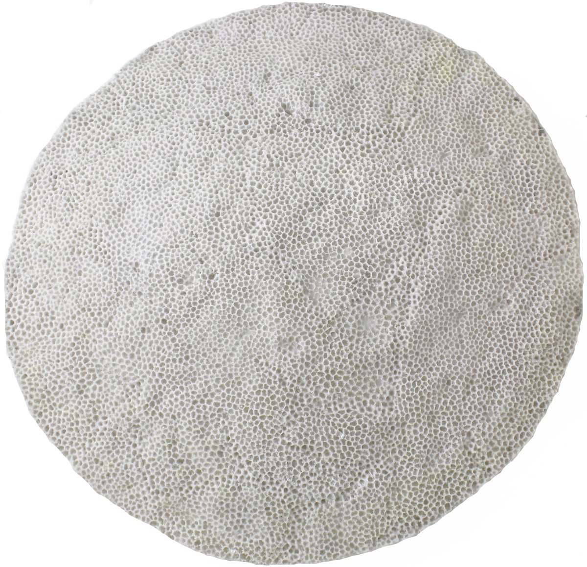 HD Collection Wandplaat Zandsteen Ivoor 69,8x69,8x8,8cm