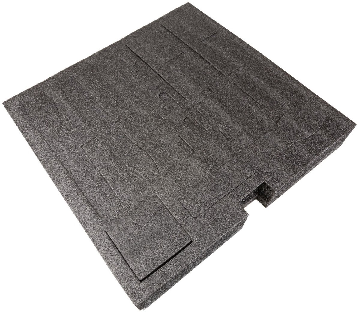 Microfoon inlay voor 19 inch Rack 2U