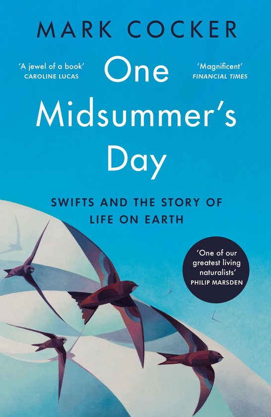 One Midsummer's Day - cover