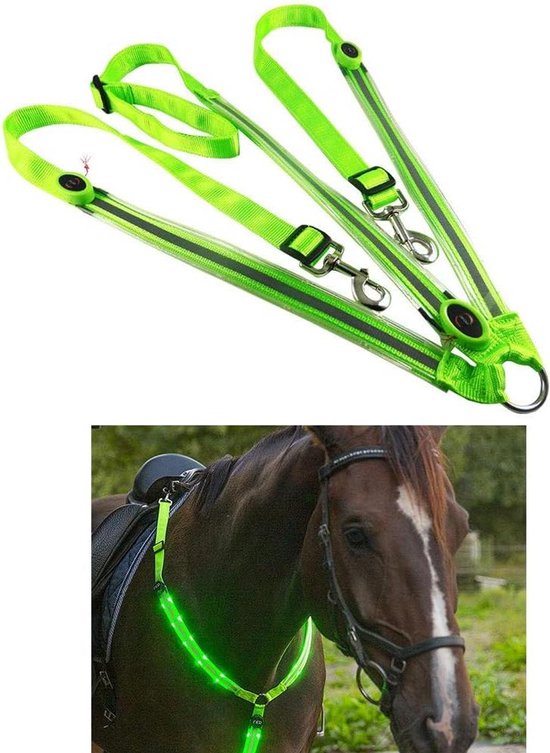 Meer gehoorzaamheid en controle: Smalletjes! - Roxana Graman Eventing