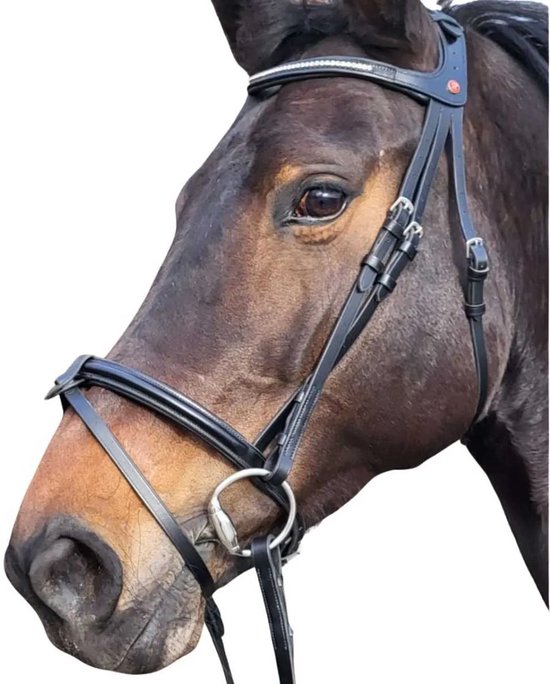 Bridon Rossner Ferrara - Taille : Cob - Marron - Cuir