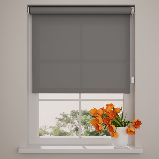 Store enrouleur électrique Easy Translucide - Gris - 180 x 190 cm - CMD-03