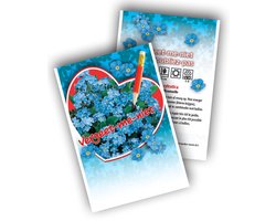 Moeras vergeet-mij-nietje (Myosotis Scorpioides) - Vergeet-mij-niet - Myosotis - Snijbloemen - bloeit in Oktober / Juni / Juli / Augustus / September