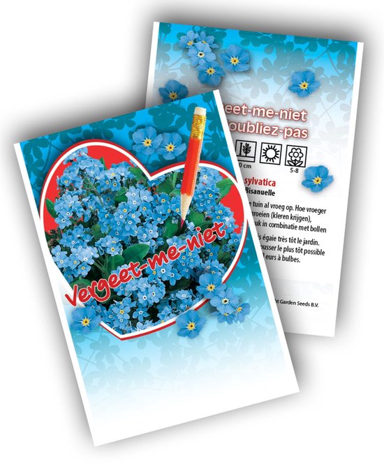 Moeras vergeet-mij-nietje (Myosotis Scorpioides) - Vergeet-mij-niet - Myosotis - Snijbloemen - bloeit in Oktober / Juni / Juli / Augustus / September