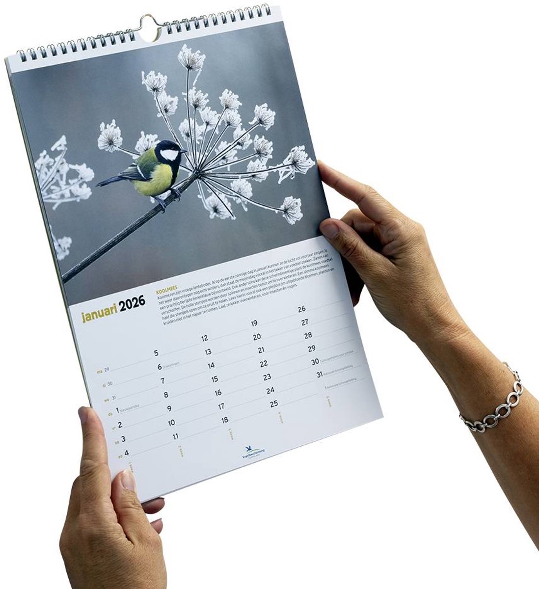Birds Kalender 2026 Kopen? Eenvoudig en snel online Birds Kalender 2026 Kopen? Eenvoudig en snel online