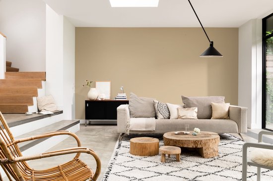Woonkamer met beige muur, een grijze bank met kussens, houten salontafels en een rieten stoel.