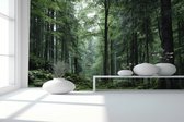 Peel & stick Fotobehang - Enchanted Forest Escape Wall Mural - 250x150 centimeter