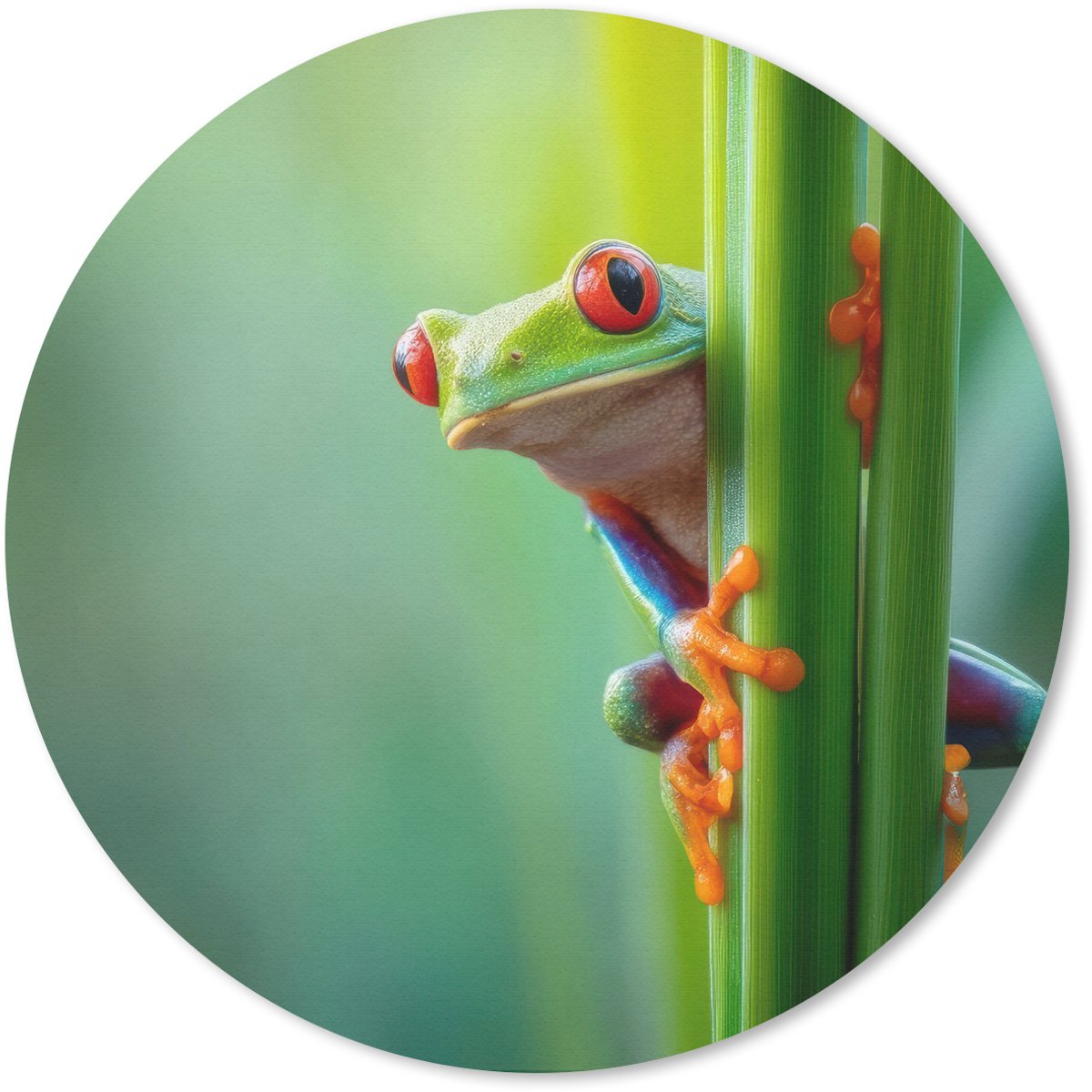 Muismat rond 20x20 cm - Mousepad Groene kikker - Nieuwsgierig - Gras - Ronde muismatten