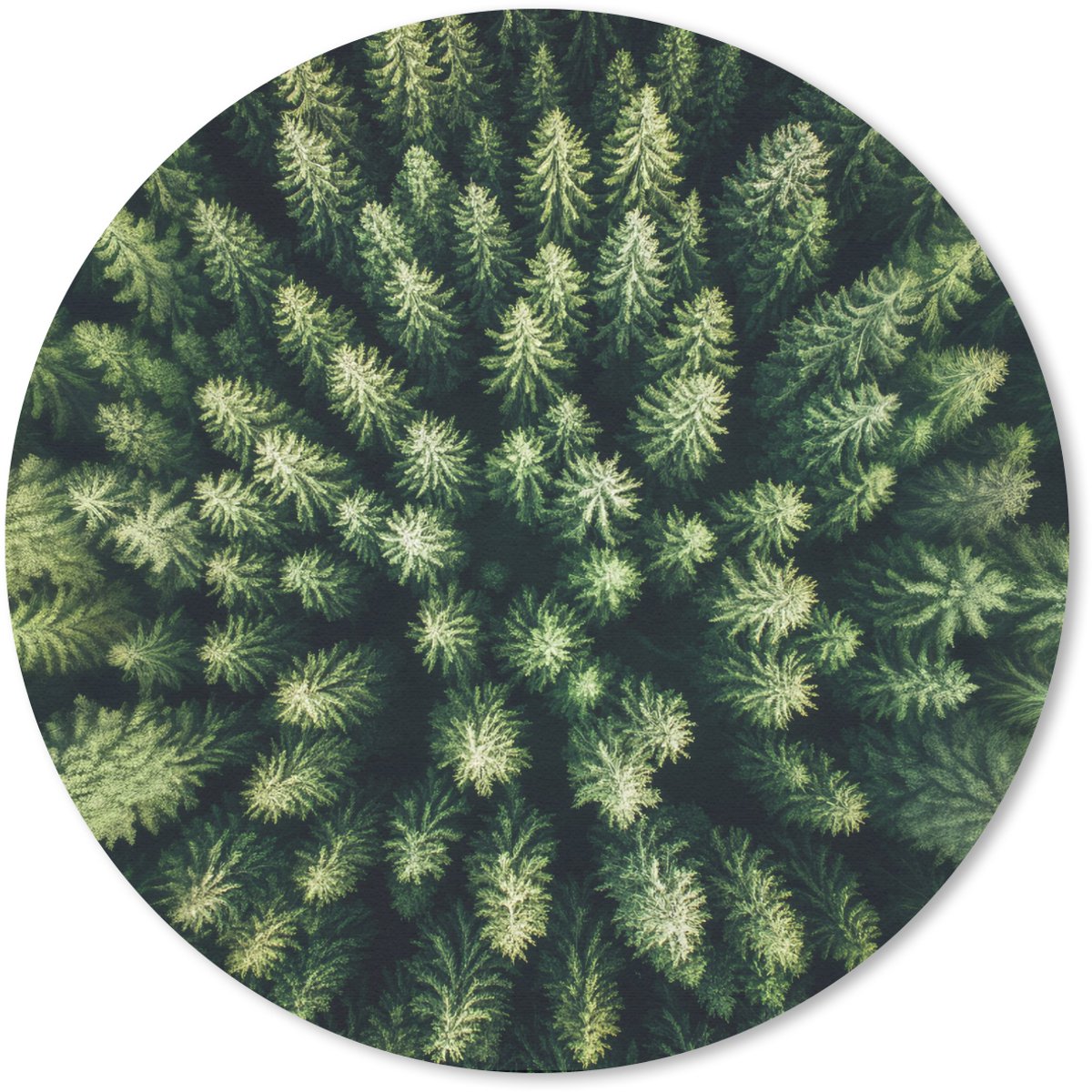 Muismat rond 30x30 cm - Mousepad Bomen - Naaldwoud - Structuur - Ronde muismatten