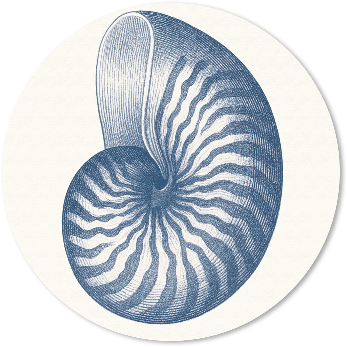Muismat rond 30x30 cm - Mousepad Blauw - Schelp - Spiraal - Ronde muismatten