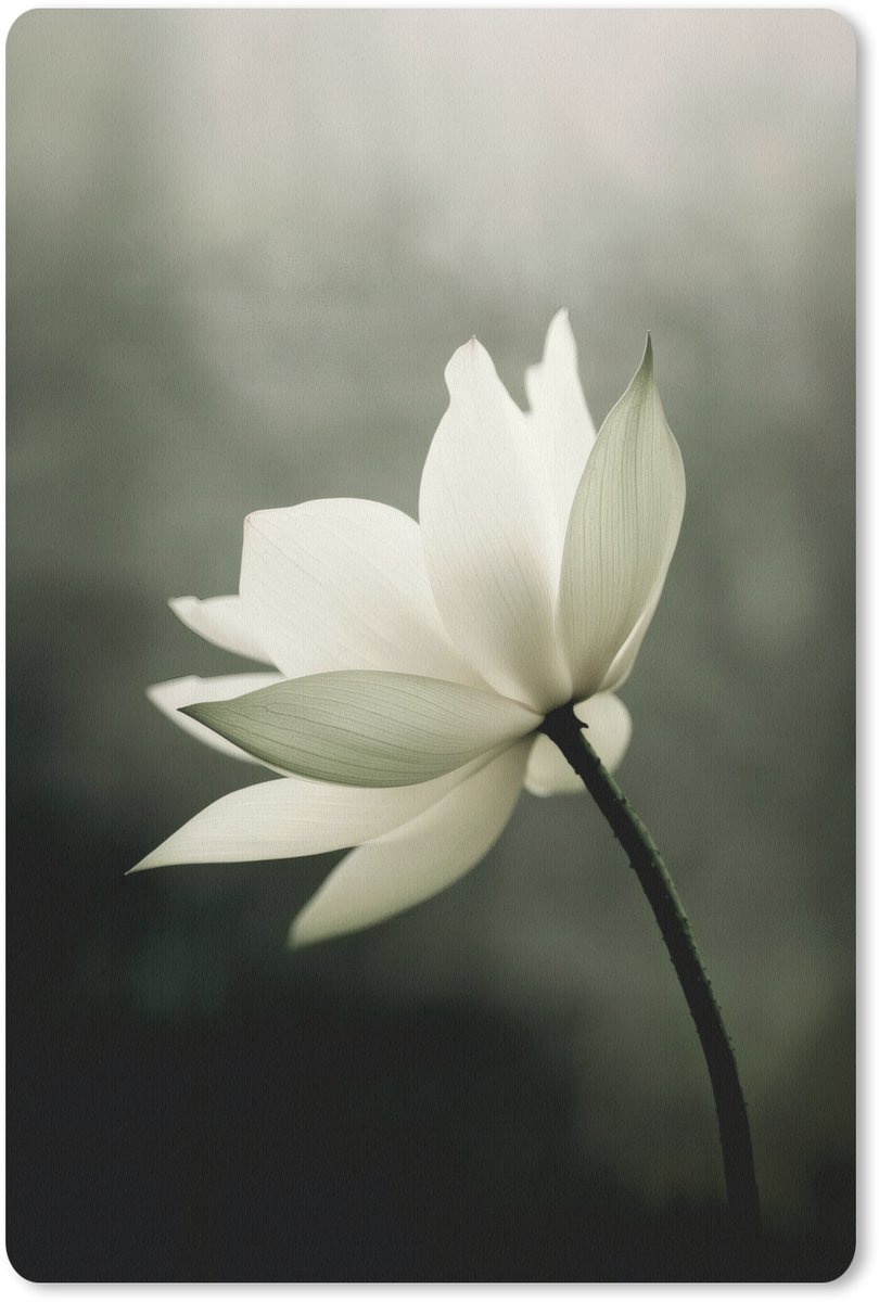 Muismat 18x27 cm - Mousepad Wit - Lotus - Donker - Bloem - Muismatten