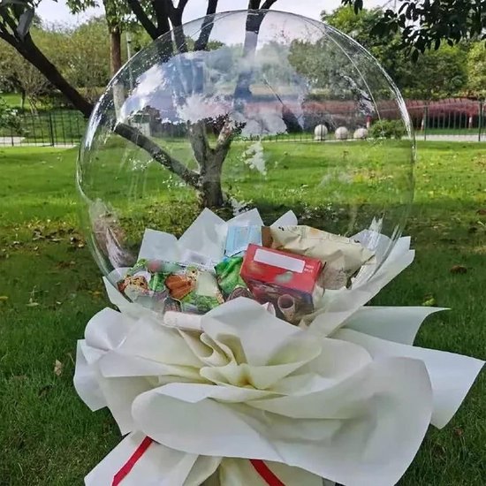 12/20/24/36 inch Geen Rimpel Bobo Clear Ballonnen ... - Grandado
