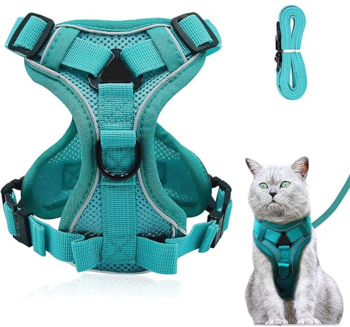 GTB® Kattentuigje met Looplijn - Kattentuigje - Kattenharnas - Blauw - 19cm x 15cm x 2cm