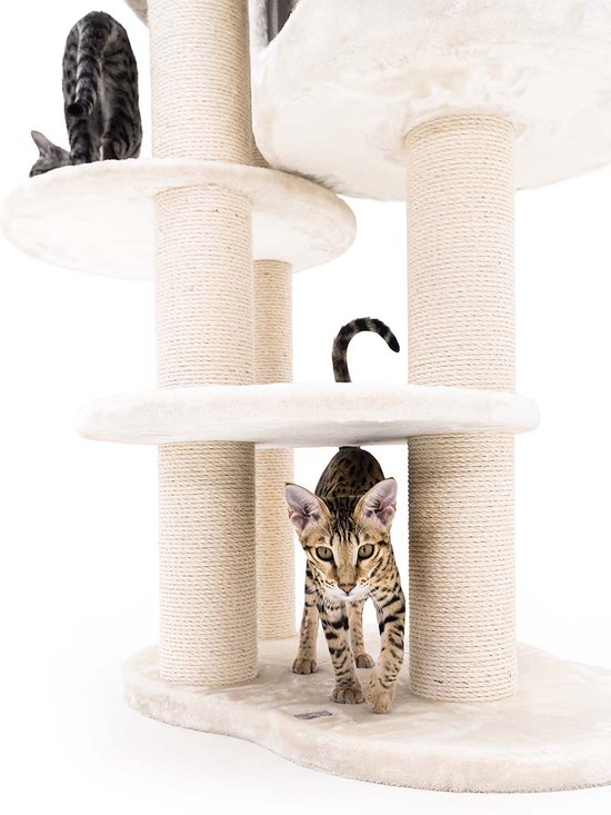 Arbre à chat Petrebels Isabella 170 Design - Crème - Qualité Premium - Arbre à chat XXL pour grands chats