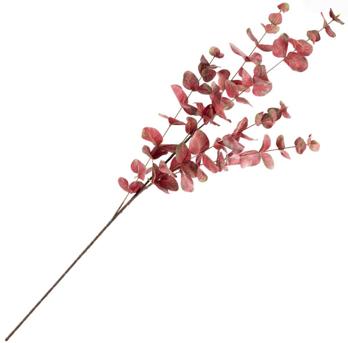 HomeBound by KY | Kunstbloem eucalyptus burgundy | Kunstbloem eucalyptus | Kunstbloem | eucalyptus | 101cm