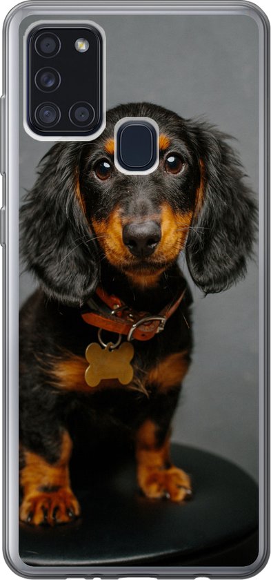 Coque de téléphone compatible avec Samsung Galaxy A21s - Photo studio d'un chiot teckel - Coque en Siliconen