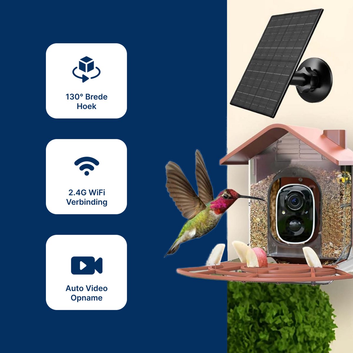 EASYPIX BirdyCam Voederhuis met camera, zonne-energie, automatische HD-video- en foto-opnames van vogels, voederdispenser voor tuin