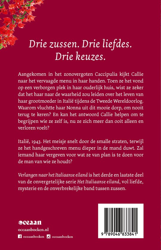 Boekomslag met de titel 'Drie zussen. Drie liefdes. Drie keuzes.' en tekst over het verhaal.