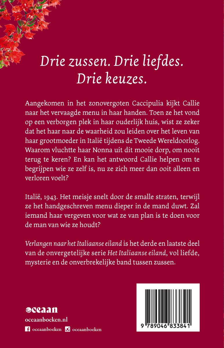 Boekomslag met de titel 'Drie zussen. Drie liefdes. Drie keuzes.' en tekst over het verhaal.