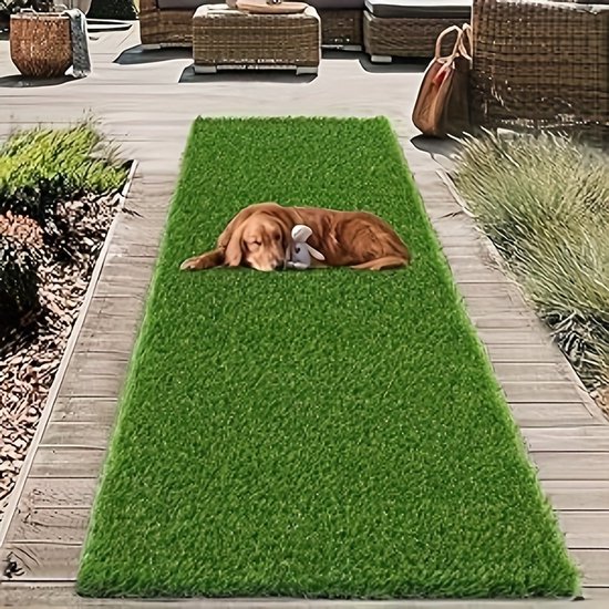 Carpero Rugs Kunstgras - Balkon Tapijt Waterdicht