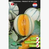Jardin de l'écluse - Melon Artemis F1