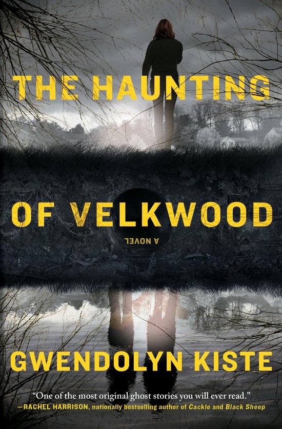 The Haunting of Velkwood - cover