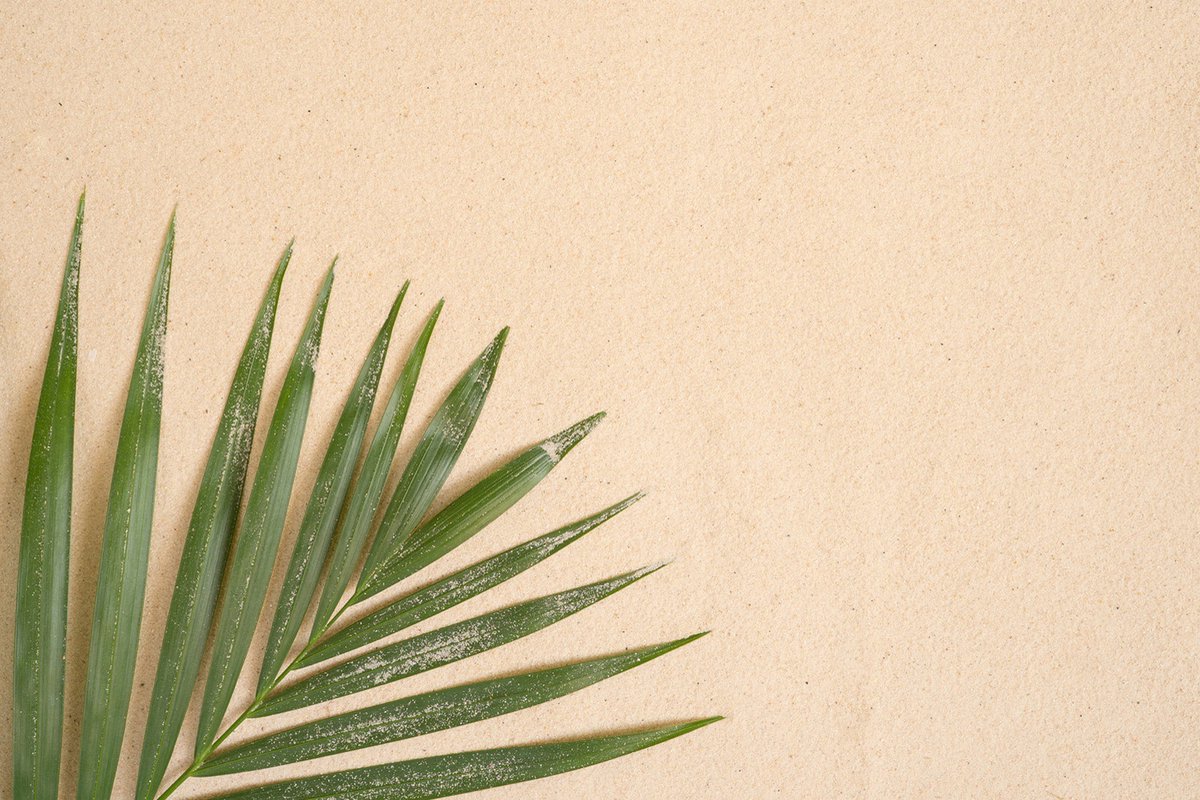 Fotobehang palmblad in beige groen