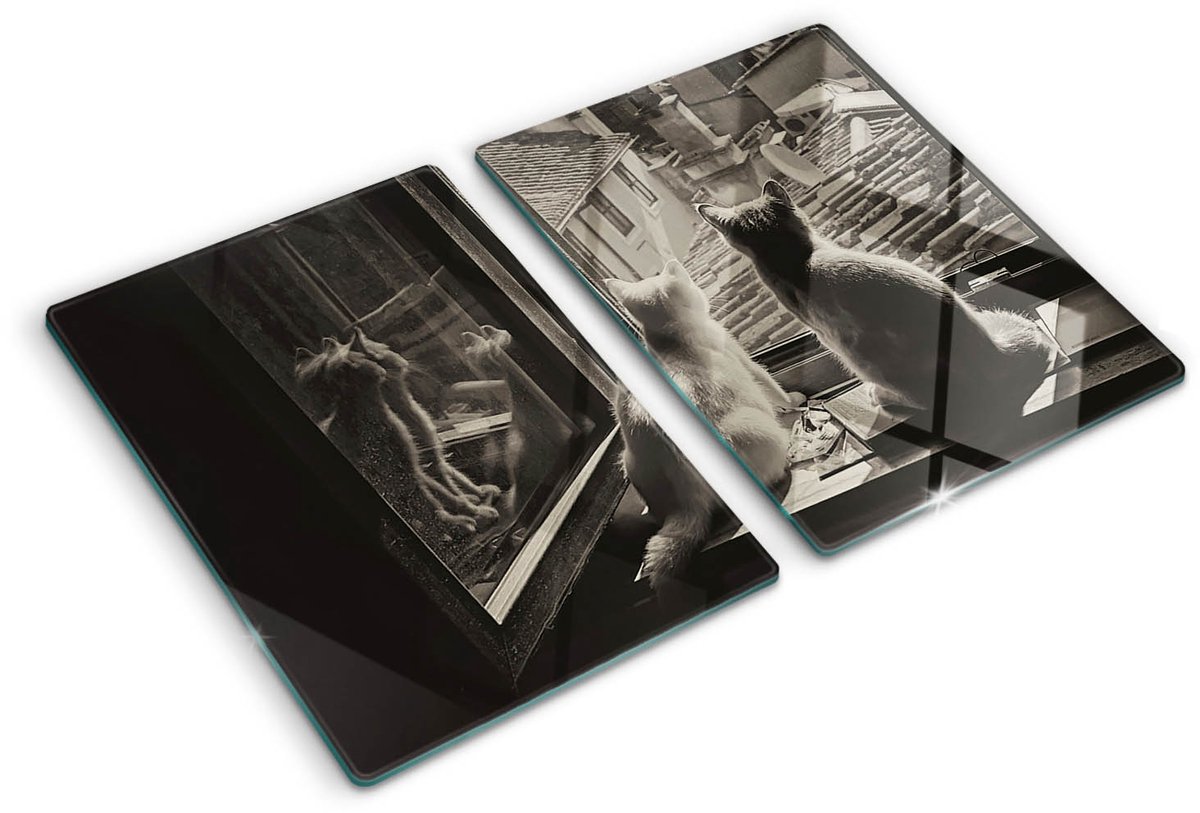 Tulup Image Sur Verre Trempé Tableaux 140x70 - Orchidée Et Coeur