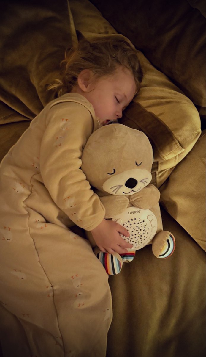 LUVION® Otter Knuffel - Sterrenhemelprojector - White noise machine voor baby en kind - Interactieve knuffel 30cm met hartslag geluid, slaapliedjes en sterrenhemel projector — afbeelding 9
