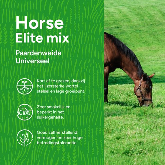 Een bruin paard graast op groen gras. De tekst is Horse Elite mix, Paardenweide Universeel.