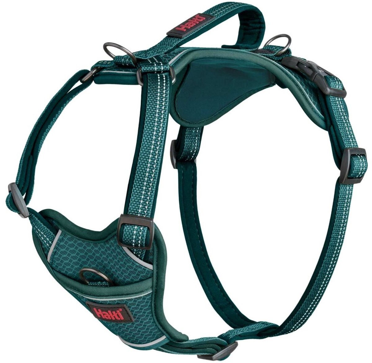 Hondentuigje Company of Animals Turkoois S 28-42 cm