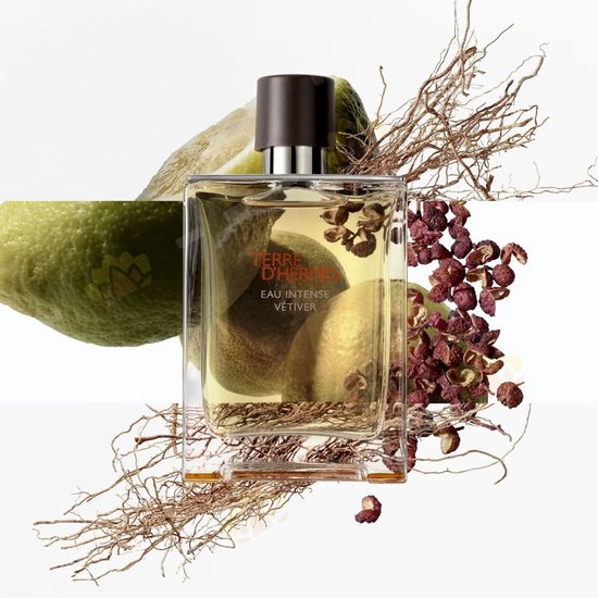TERRE D'HERMÈS Eau Intense Vétiver 100ml Hermes Terre d'Hermès Eau Intense Vétiver 100 ml - Eau de Parfum