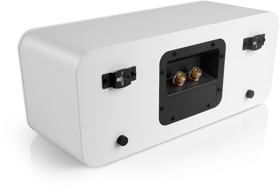 Achterkant van een witte luidspreker met aansluitterminal en ophangbeugels.