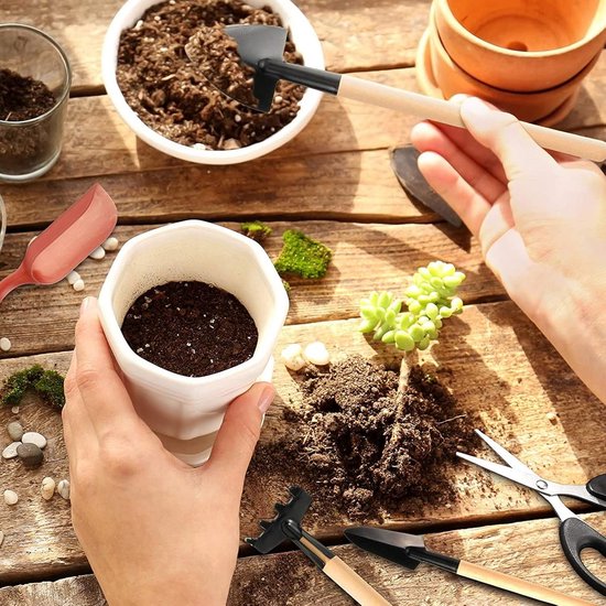 Mini Tuinset voor Bonsai en Succulenten - 13-delige Transplantatie Gereedschaps Set van MINI — afbeelding 5