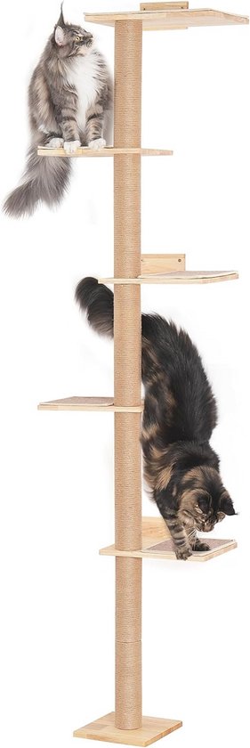 Kattenappartement For Grote Katten 20 Lbs Heavy Duty, Kattenboom Met