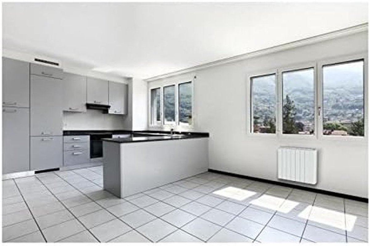 Elektrische Paneelradiator met Steenblokken voor Langdurige Warmte en Slimme Programmering
