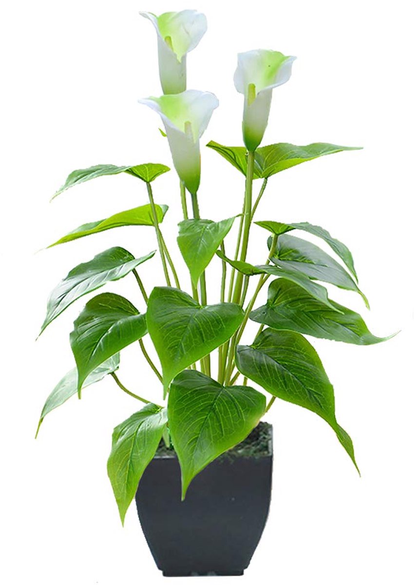Unyqoos Stijlvolle kunstmatige Calla-lelie in zwarte pot voor interieurdecoratie Witte kunstbloem