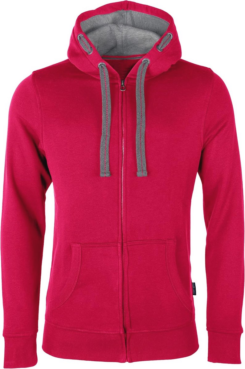 Heren Hooded Sweatshirt Zacht Katoen met Contrasterende Voering