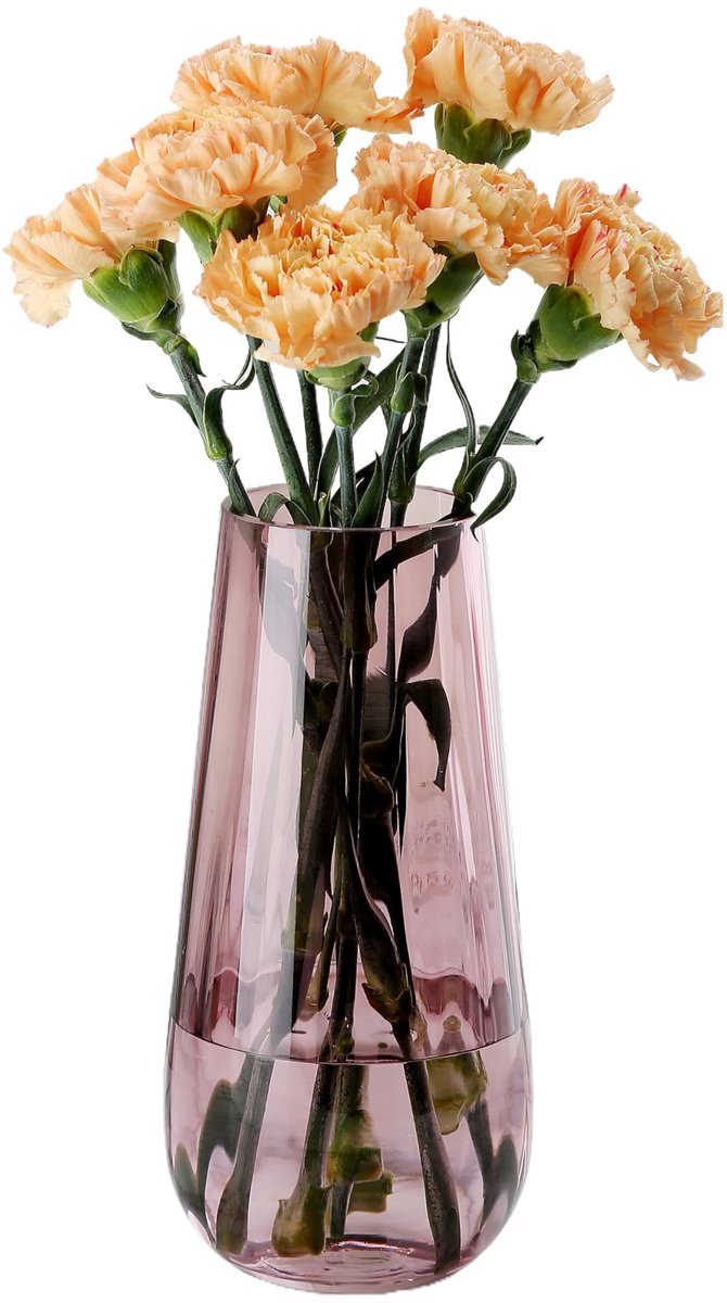 Imperatoris Glazen Vazen / Glazen Flessen – Mini Decoratieve Vaas Flesjes – Helder Glas – Inclusief Strik – 12.2 x 8.2 x 25 cm – Rosa