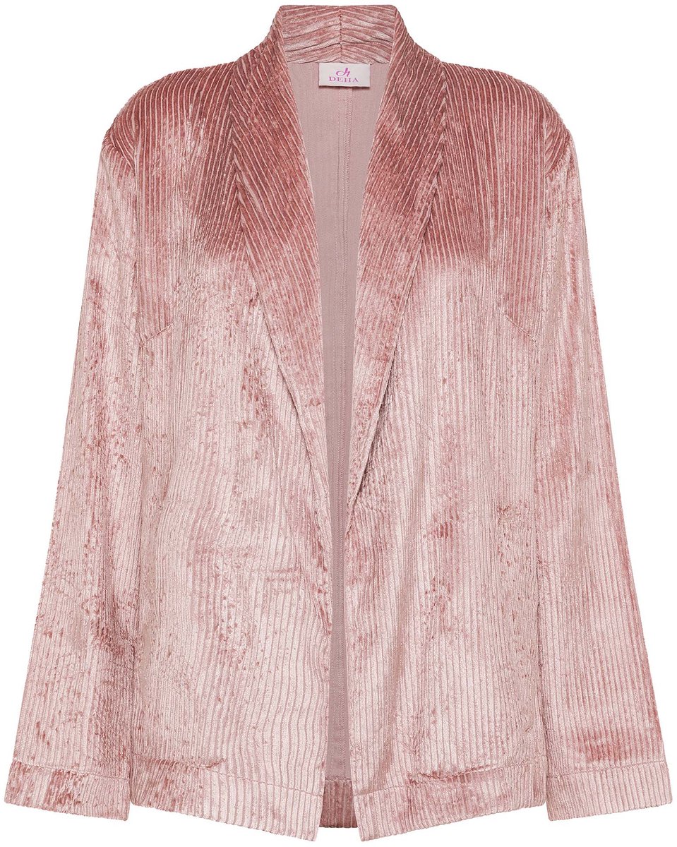Deha Viscose Velvet Blazer - Fashion Wear - Vrouwen