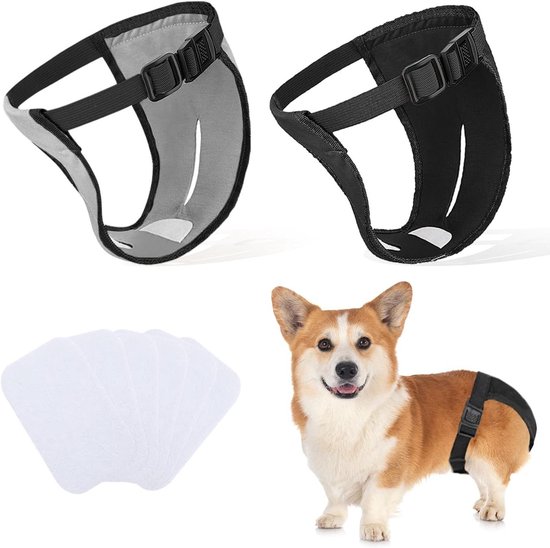 Herbruikbare luier voor hond - De oplossing voor incontinentie en loopsheid