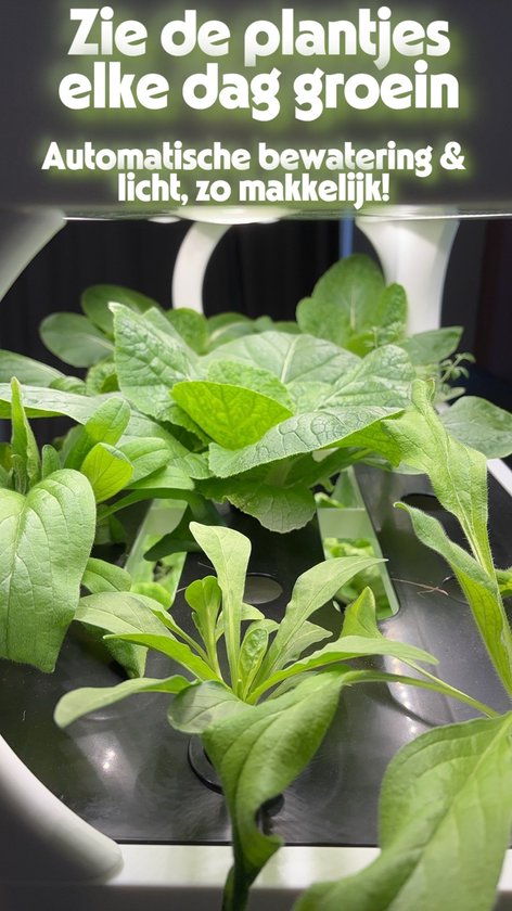 Verse groene planten groeien op verschillende niveaus onder LED-licht. Tekst: "Zie de plantjes elke dag groei. Automatische bewatering & licht, zo makkelijk!"