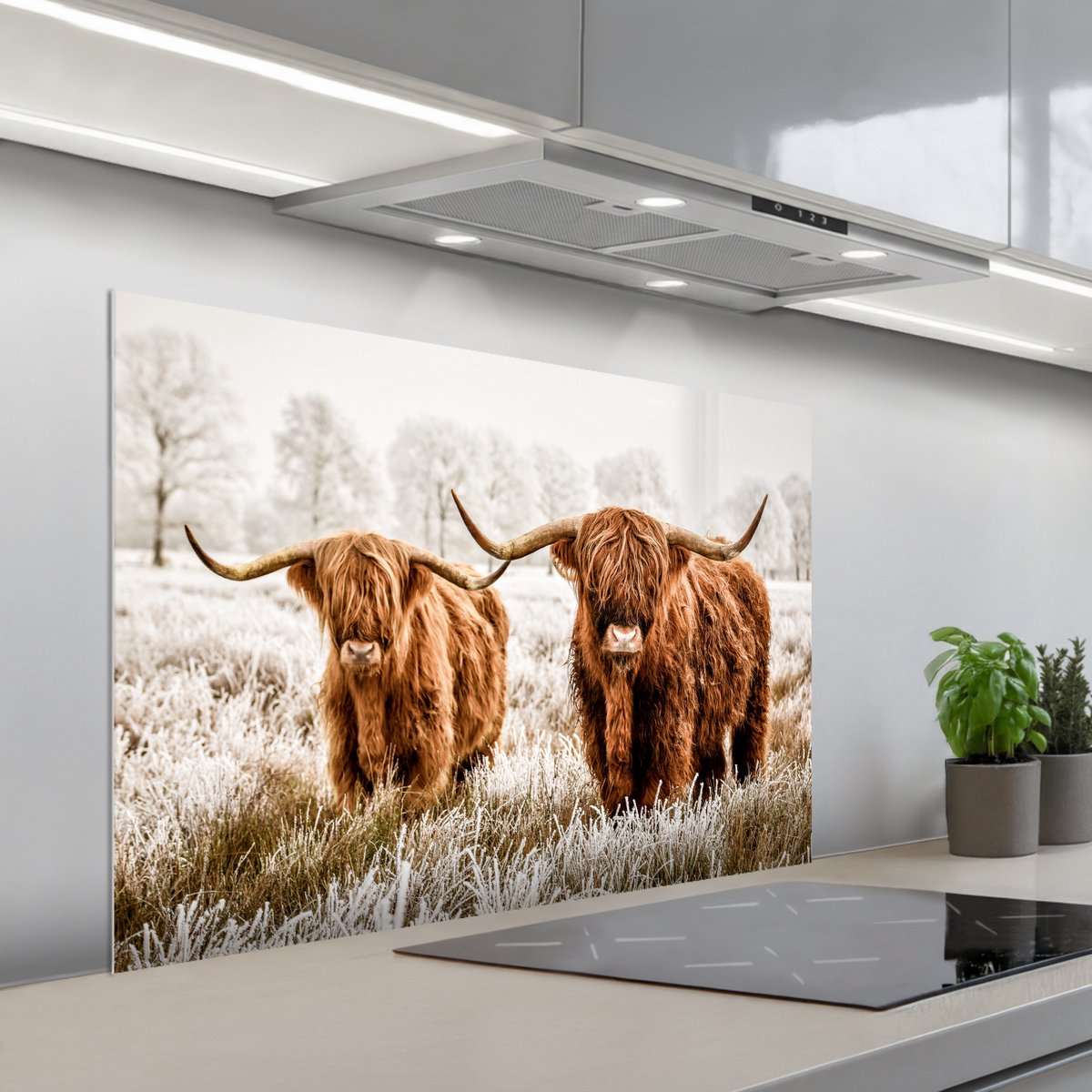 Spatscherm 100x65 cm - Zelfklevende achterwand Schotse hooglander - Koe - Natuur - Winter - Keuken muurbeschermer - Spatwand fornuis